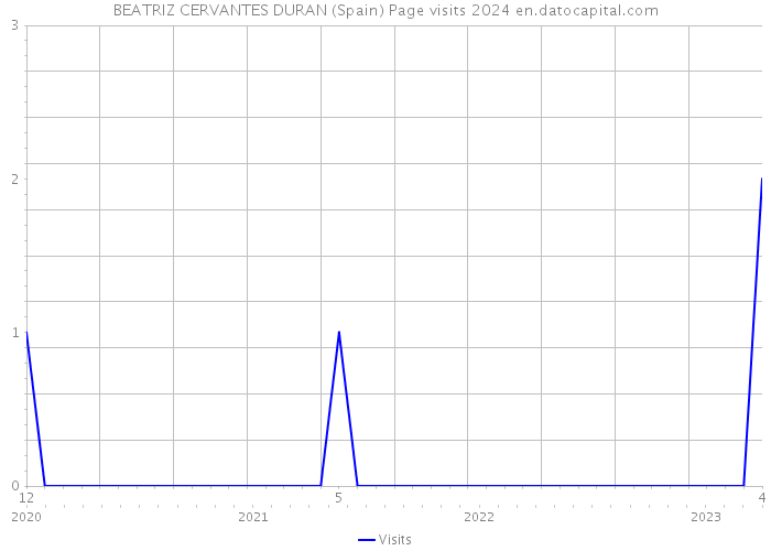 BEATRIZ CERVANTES DURAN (Spain) Page visits 2024 