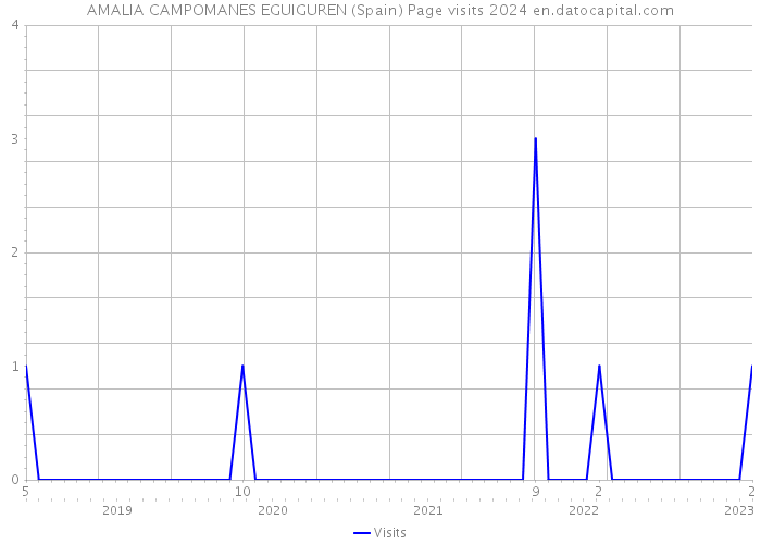 AMALIA CAMPOMANES EGUIGUREN (Spain) Page visits 2024 