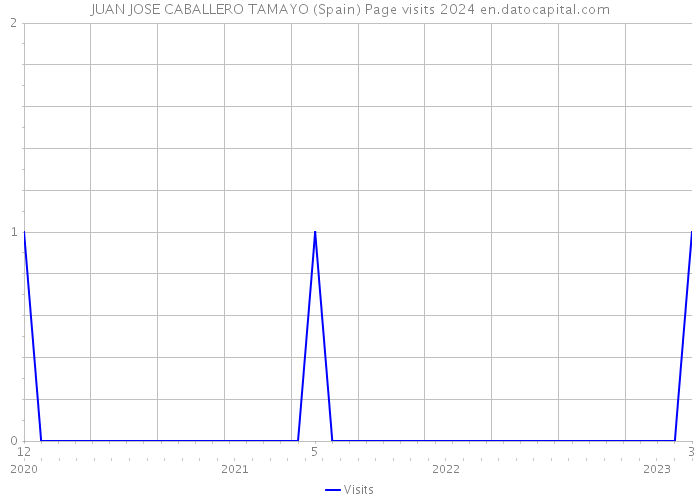 JUAN JOSE CABALLERO TAMAYO (Spain) Page visits 2024 