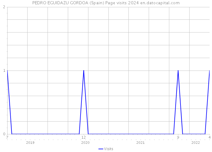 PEDRO EGUIDAZU GORDOA (Spain) Page visits 2024 