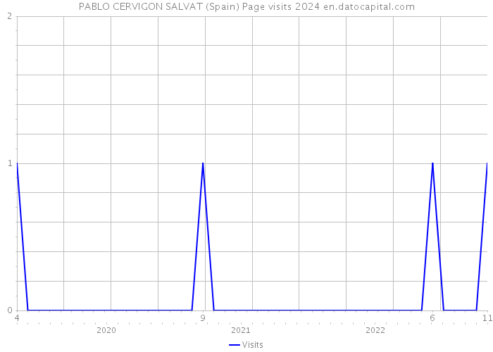 PABLO CERVIGON SALVAT (Spain) Page visits 2024 