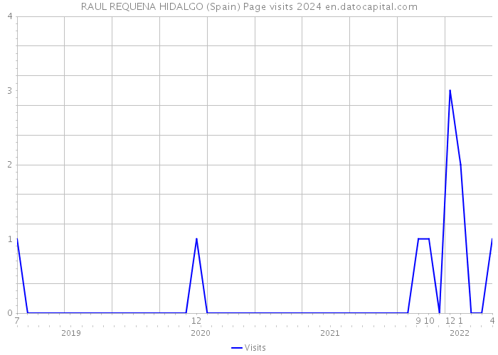RAUL REQUENA HIDALGO (Spain) Page visits 2024 