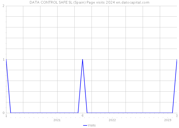 DATA CONTROL SAFE SL (Spain) Page visits 2024 