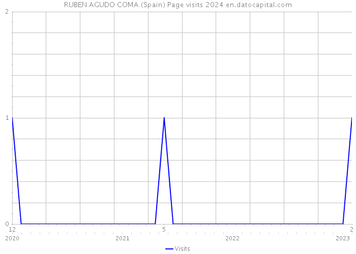 RUBEN AGUDO COMA (Spain) Page visits 2024 