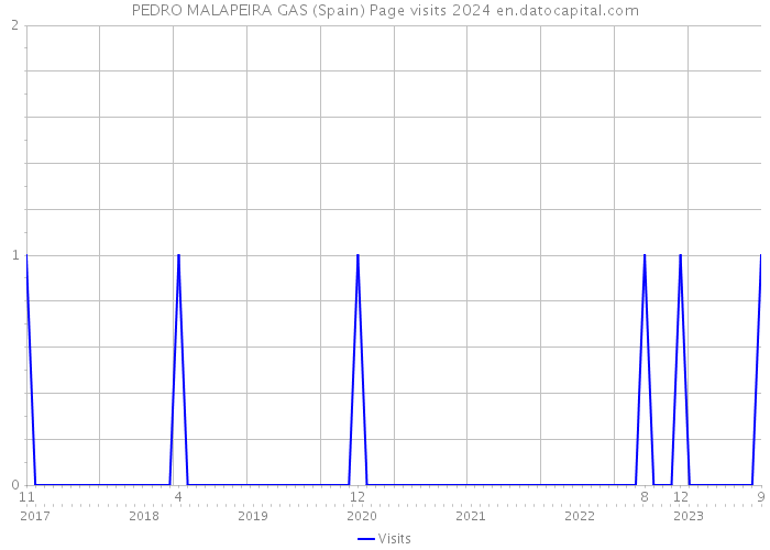 PEDRO MALAPEIRA GAS (Spain) Page visits 2024 