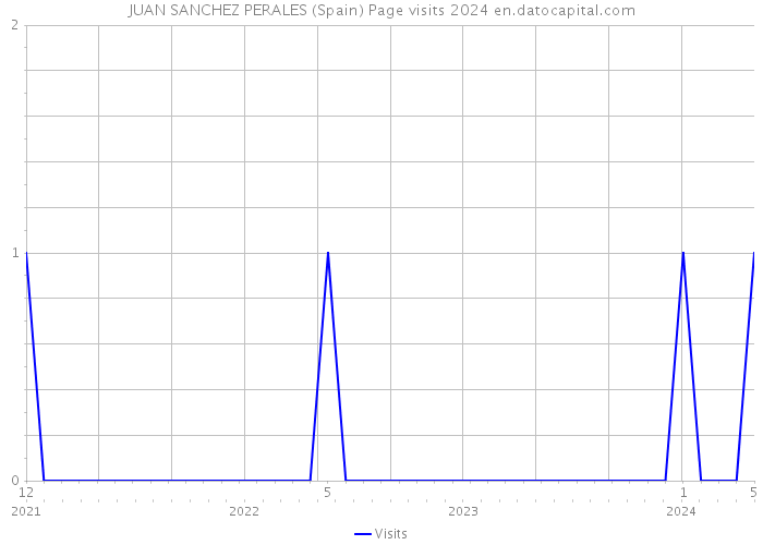 JUAN SANCHEZ PERALES (Spain) Page visits 2024 
