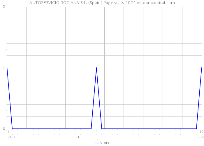 AUTOSERVICIO ROCIANA S.L. (Spain) Page visits 2024 