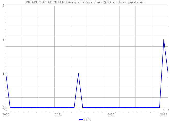 RICARDO AMADOR PEREDA (Spain) Page visits 2024 