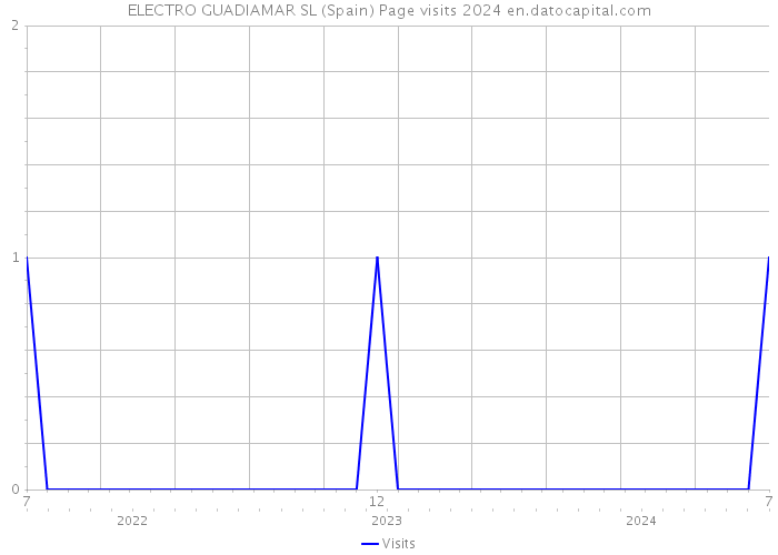ELECTRO GUADIAMAR SL (Spain) Page visits 2024 