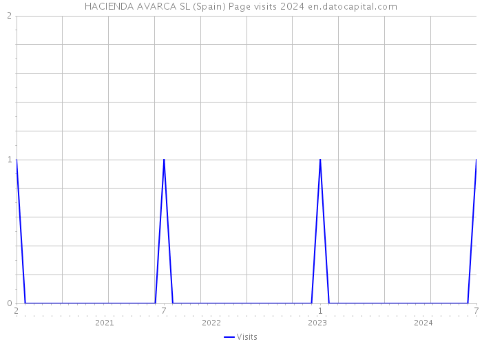 HACIENDA AVARCA SL (Spain) Page visits 2024 