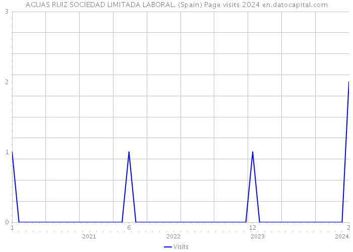 AGUAS RUIZ SOCIEDAD LIMITADA LABORAL. (Spain) Page visits 2024 