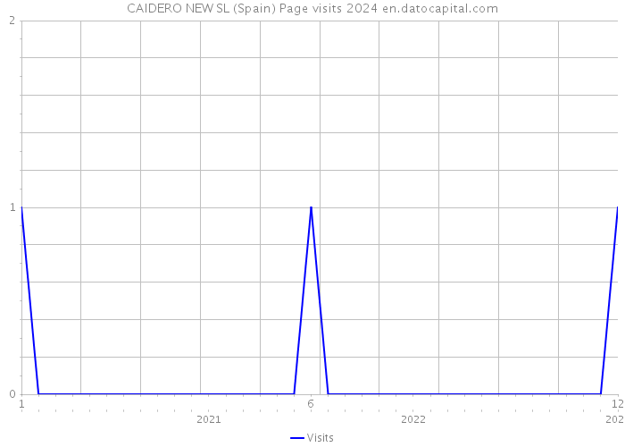 CAIDERO NEW SL (Spain) Page visits 2024 