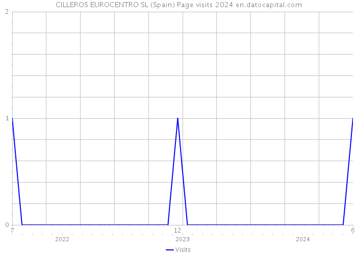 CILLEROS EUROCENTRO SL (Spain) Page visits 2024 