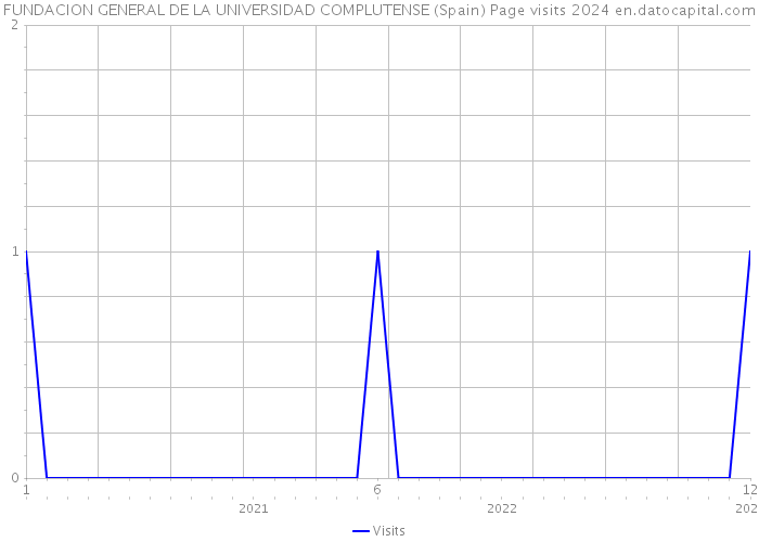 FUNDACION GENERAL DE LA UNIVERSIDAD COMPLUTENSE (Spain) Page visits 2024 