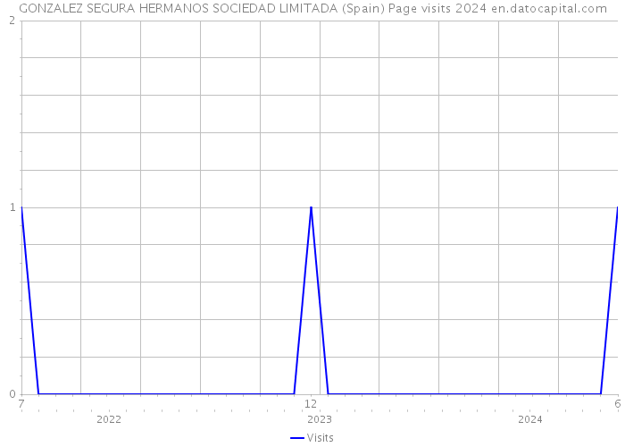 GONZALEZ SEGURA HERMANOS SOCIEDAD LIMITADA (Spain) Page visits 2024 