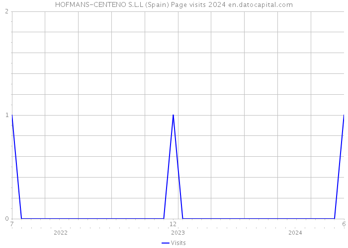 HOFMANS-CENTENO S.L.L (Spain) Page visits 2024 