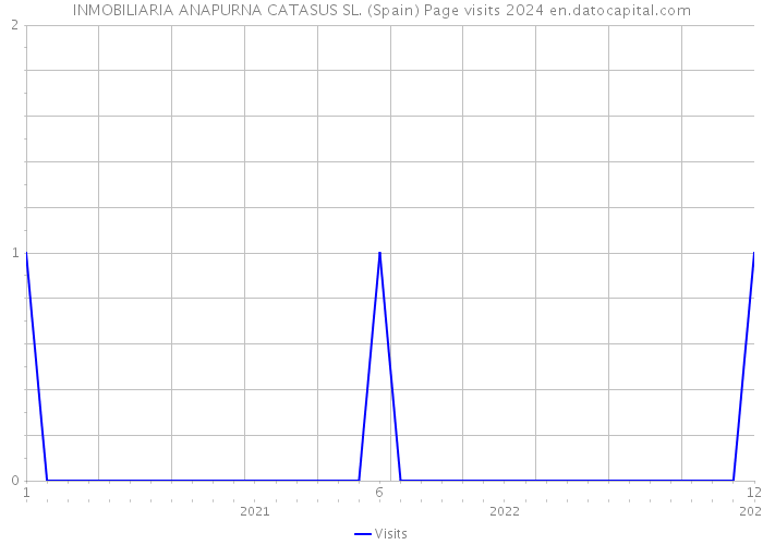 INMOBILIARIA ANAPURNA CATASUS SL. (Spain) Page visits 2024 
