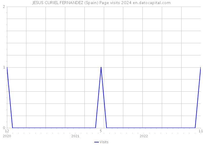 JESUS CURIEL FERNANDEZ (Spain) Page visits 2024 