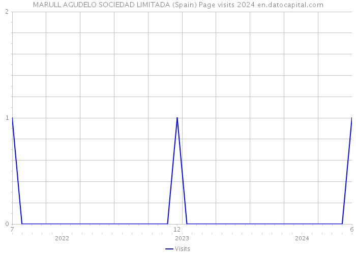 MARULL AGUDELO SOCIEDAD LIMITADA (Spain) Page visits 2024 