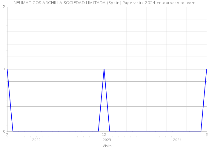 NEUMATICOS ARCHILLA SOCIEDAD LIMITADA (Spain) Page visits 2024 