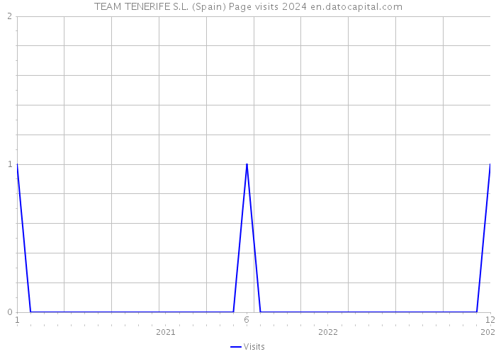 TEAM TENERIFE S.L. (Spain) Page visits 2024 