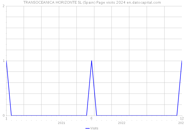 TRANSOCEANICA HORIZONTE SL (Spain) Page visits 2024 