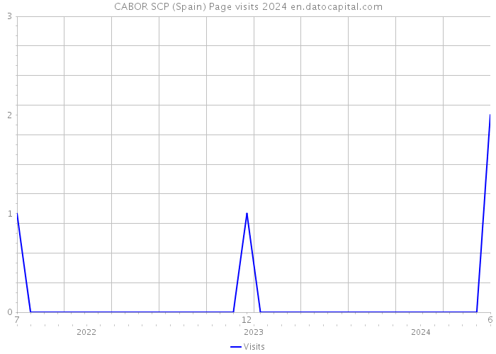 CABOR SCP (Spain) Page visits 2024 