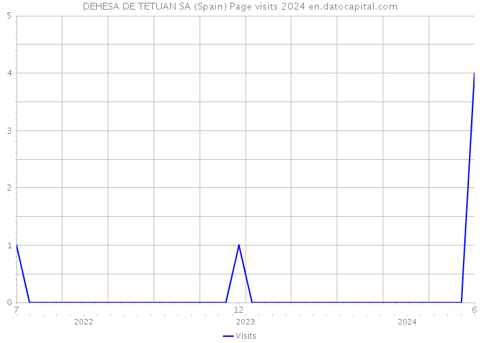 DEHESA DE TETUAN SA (Spain) Page visits 2024 