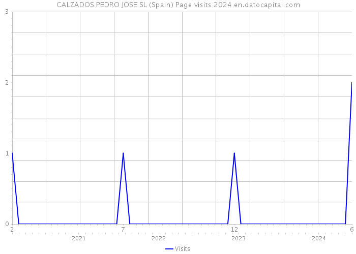 CALZADOS PEDRO JOSE SL (Spain) Page visits 2024 