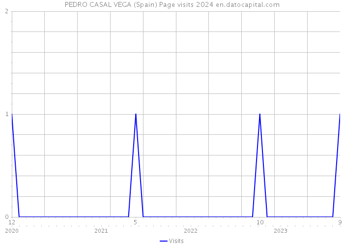 PEDRO CASAL VEGA (Spain) Page visits 2024 