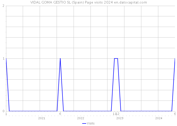 VIDAL GOMA GESTIO SL (Spain) Page visits 2024 