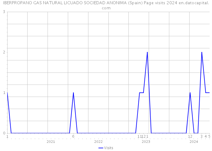 IBERPROPANO GAS NATURAL LICUADO SOCIEDAD ANONIMA (Spain) Page visits 2024 