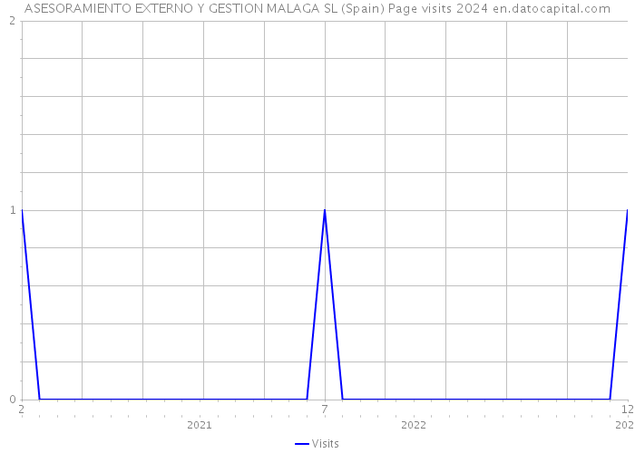 ASESORAMIENTO EXTERNO Y GESTION MALAGA SL (Spain) Page visits 2024 