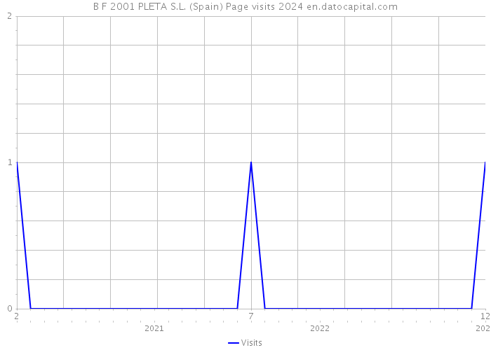 B F 2001 PLETA S.L. (Spain) Page visits 2024 