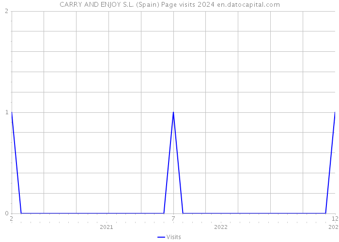 CARRY AND ENJOY S.L. (Spain) Page visits 2024 