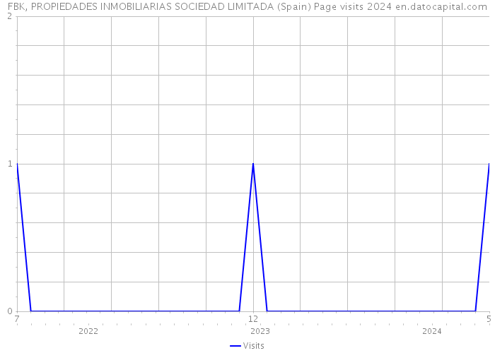 FBK, PROPIEDADES INMOBILIARIAS SOCIEDAD LIMITADA (Spain) Page visits 2024 