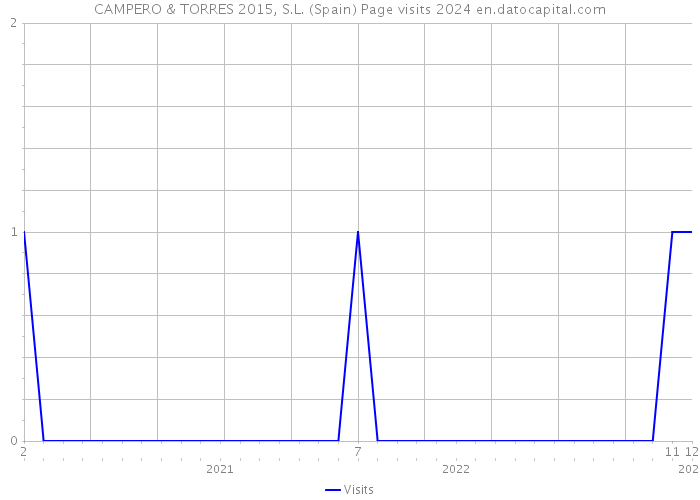 CAMPERO & TORRES 2015, S.L. (Spain) Page visits 2024 