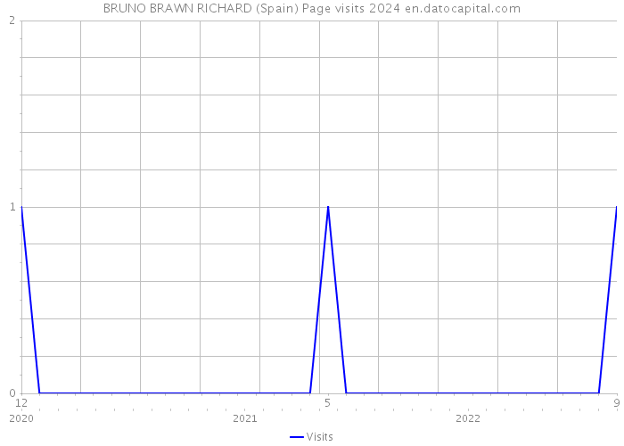 BRUNO BRAWN RICHARD (Spain) Page visits 2024 