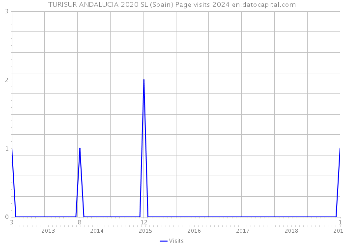 TURISUR ANDALUCIA 2020 SL (Spain) Page visits 2024 