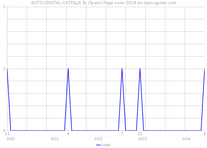 AUTO CRISTAL CASTILLA SL (Spain) Page visits 2024 