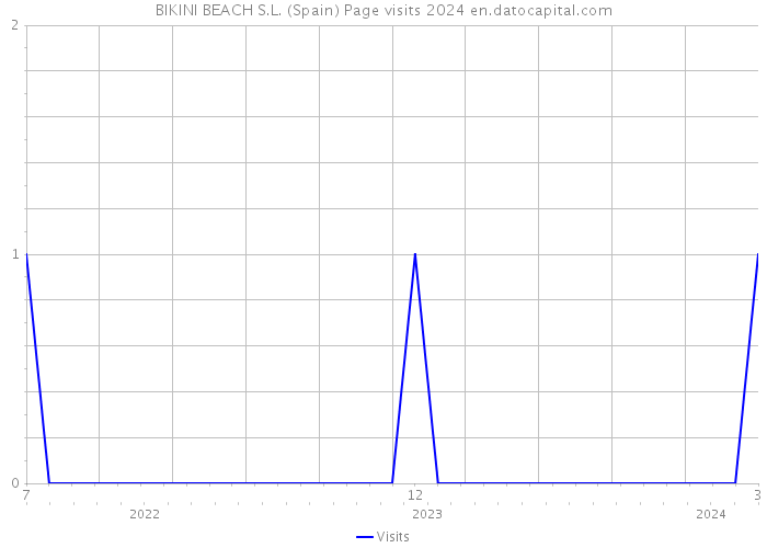 BIKINI BEACH S.L. (Spain) Page visits 2024 