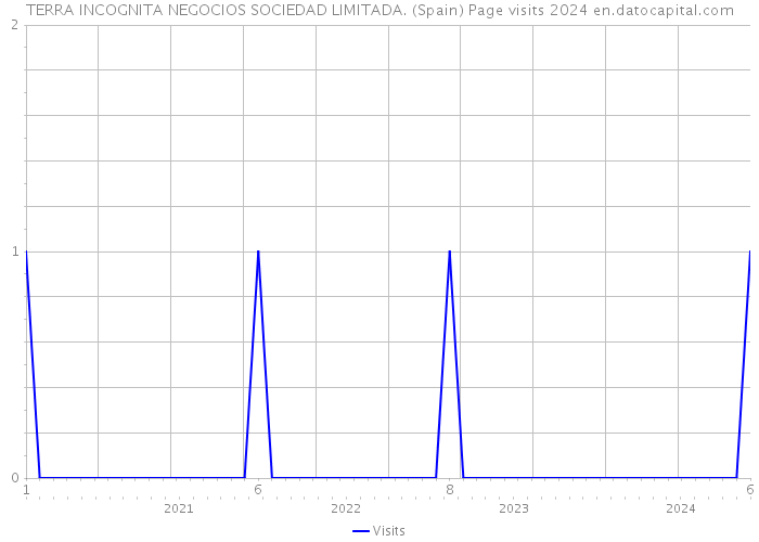 TERRA INCOGNITA NEGOCIOS SOCIEDAD LIMITADA. (Spain) Page visits 2024 