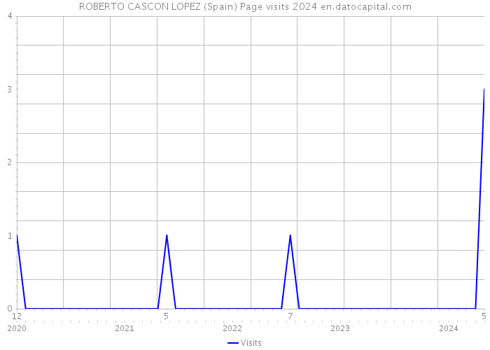 ROBERTO CASCON LOPEZ (Spain) Page visits 2024 