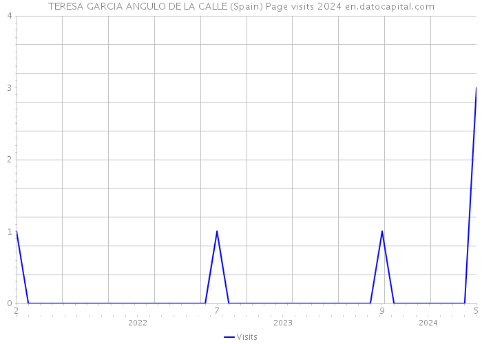 TERESA GARCIA ANGULO DE LA CALLE (Spain) Page visits 2024 