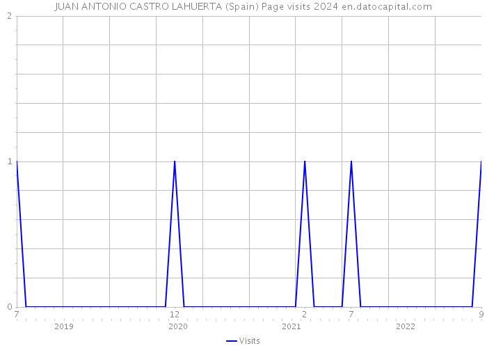 JUAN ANTONIO CASTRO LAHUERTA (Spain) Page visits 2024 
