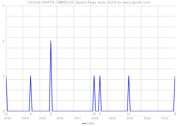 CAGIGA MARTA CEBRECOS (Spain) Page visits 2024 
