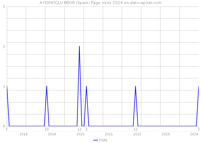 AYDINOGLU BEKIR (Spain) Page visits 2024 