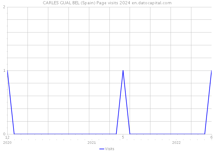 CARLES GUAL BEL (Spain) Page visits 2024 