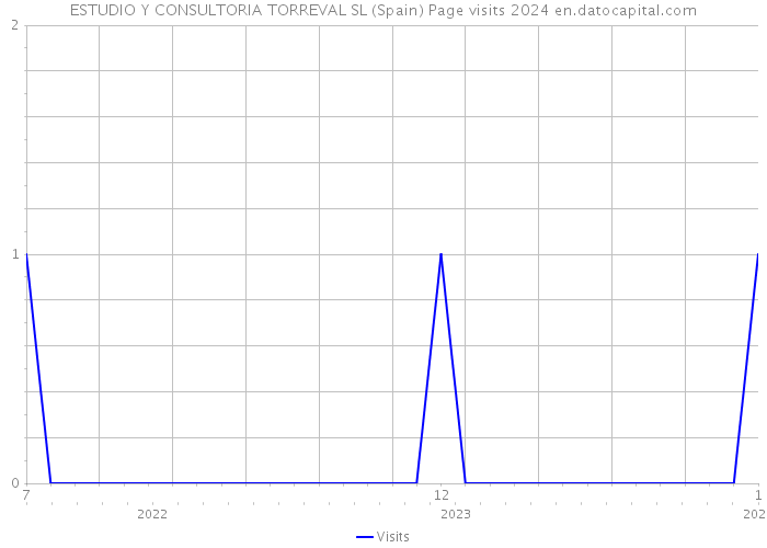 ESTUDIO Y CONSULTORIA TORREVAL SL (Spain) Page visits 2024 
