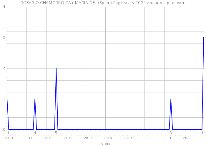 ROSARIO CHAMORRO GAY MARIA DEL (Spain) Page visits 2024 